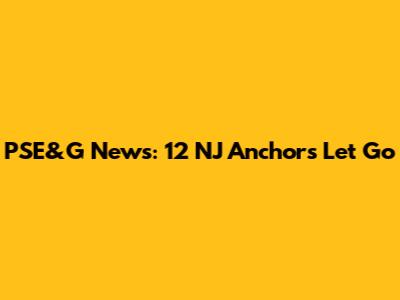 PSE&G News: 12 NJ Anchors Let Go