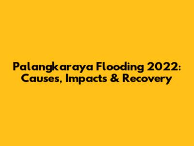 Palangkaraya Flooding 2022: Causes, Impacts & Recovery