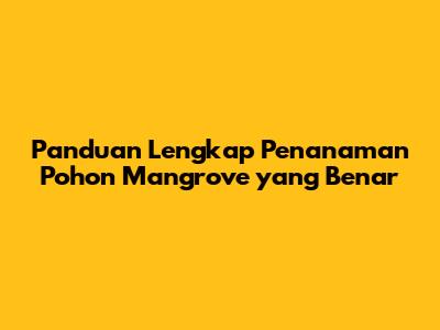 Panduan Lengkap Penanaman Pohon Mangrove yang Benar