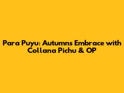 Para Puyu: Autumn's Embrace with Collana Pichu & OP