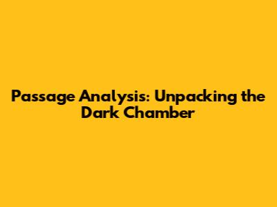 Passage Analysis: Unpacking the Dark Chamber