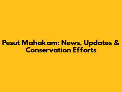 Pesut Mahakam: News, Updates & Conservation Efforts