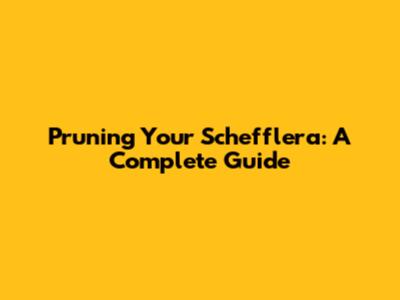 Pruning Your Schefflera: A Complete Guide