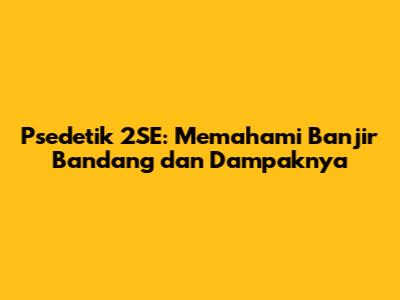 Psedetik 2SE: Memahami Banjir Bandang dan Dampaknya