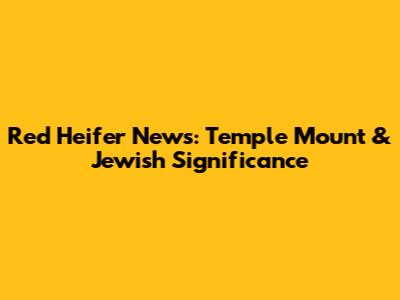 Red Heifer News: Temple Mount & Jewish Significance