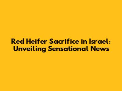 Red Heifer Sacrifice in Israel: Unveiling Sensational News