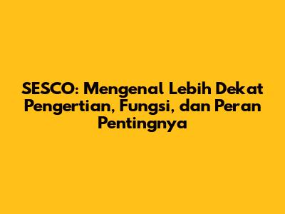 SESCO: Mengenal Lebih Dekat Pengertian, Fungsi, dan Peran Pentingnya