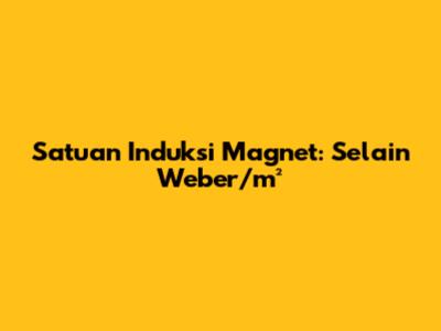 Satuan Induksi Magnet: Selain Weber/m²