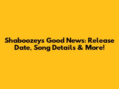 Shaboozey's 'Good News': Release Date, Song Details & More!