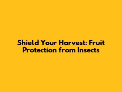 Shield Your Harvest: Fruit Protection from Insects