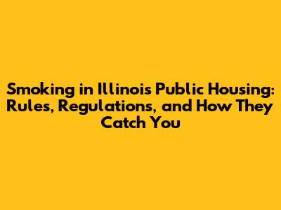 Smoking in Illinois Public Housing: Rules, Regulations, and How They Catch You
