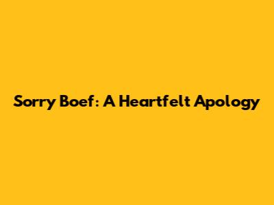 Sorry Boef: A Heartfelt Apology