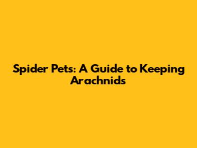 Spider Pets: A Guide to Keeping Arachnids
