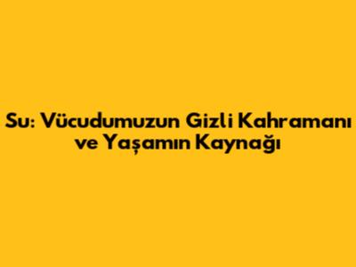 Su: Vücudumuzun Gizli Kahramanı ve Yaşamın Kaynağı
