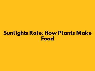 Sunlight's Role: How Plants Make Food