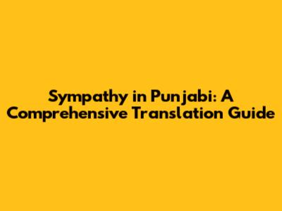 Sympathy in Punjabi: A Comprehensive Translation Guide