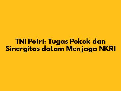 TNI Polri: Tugas Pokok dan Sinergitas dalam Menjaga NKRI