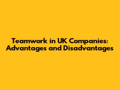 Teamwork in UK Companies: Advantages and Disadvantages