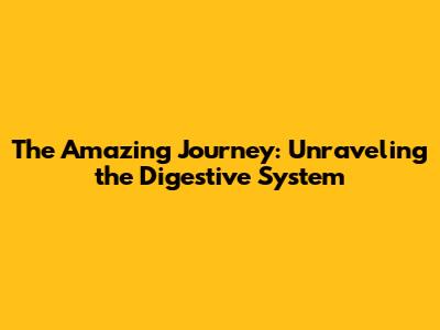 The Amazing Journey: Unraveling the Digestive System