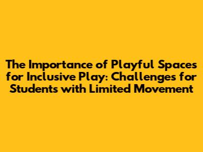The Importance of Playful Spaces for Inclusive Play: Challenges for Students with Limited Movement