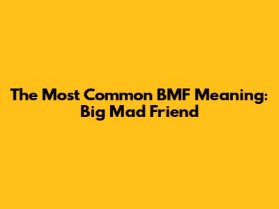The Most Common BMF Meaning: Big Mad Friend