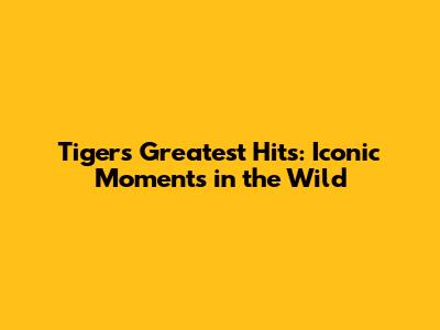 Tiger's Greatest Hits: Iconic Moments in the Wild