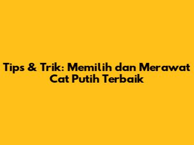 Tips & Trik: Memilih dan Merawat Cat Putih Terbaik