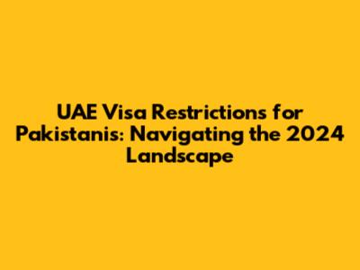UAE Visa Restrictions for Pakistanis: Navigating the 2024 Landscape