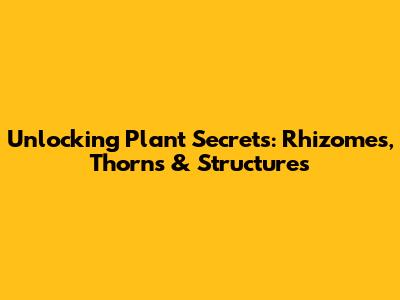Unlocking Plant Secrets: Rhizomes, Thorns & Structures