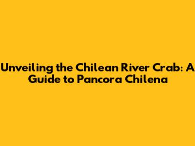 Unveiling the Chilean River Crab: A Guide to Pancora Chilena