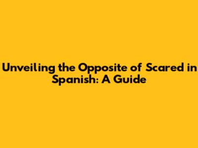 Unveiling the Opposite of Scared in Spanish: A Guide