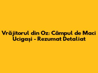 Vrăjitorul din Oz: Câmpul de Maci Ucigași - Rezumat Detaliat