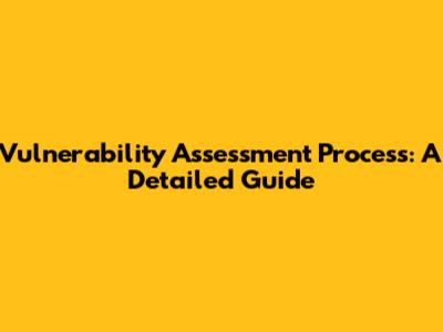 Vulnerability Assessment Process: A Detailed Guide