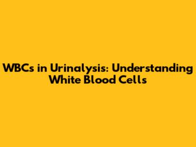 WBCs in Urinalysis: Understanding White Blood Cells