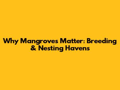 Why Mangroves Matter: Breeding & Nesting Havens