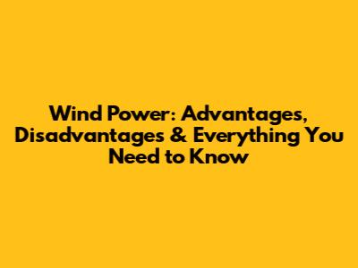 Wind Power: Advantages, Disadvantages & Everything You Need to Know