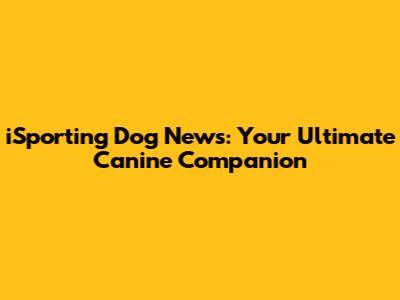 iSporting Dog News: Your Ultimate Canine Companion