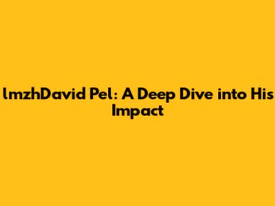 lmzhDavid Pel: A Deep Dive into His Impact